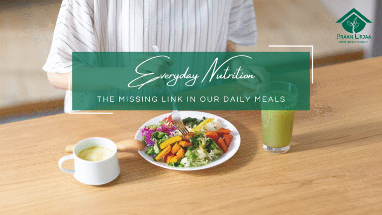 Everyday Nutrition – The Missing Link in Our Daily Meals
