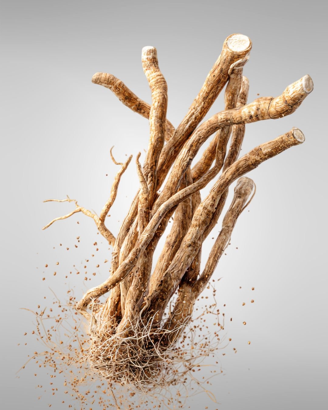 Ashwagandha, Shatavari and Ginger Blend